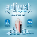 ADJUST MYCOOL BY LOST MARY 5% DISPOSABLE 40000 PUFFS BOX OF 5