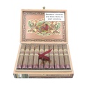 MFC FLOR DE LAS ANTILLAS BELICOSO (20)