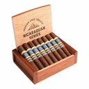 NICARAGUAN SERIES BY AJ ROBUSTO 5X52