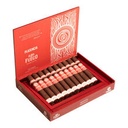 PLASENCIA ALMA DEL FUEGO ROBUSTO 5X50 (10)