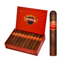 PUNCH RARE COROJO PITA CIGARS (20)